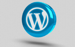 24 reasons to use WordPress in 2024